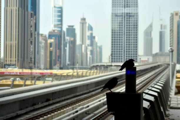 Skyscrapers in Emaar Valley Phase 2, depicting modern high-rise buildings under construction.