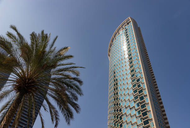 A modern high-rise apartment building in Dubai with a palm tree, illustrating property investment opportunities.